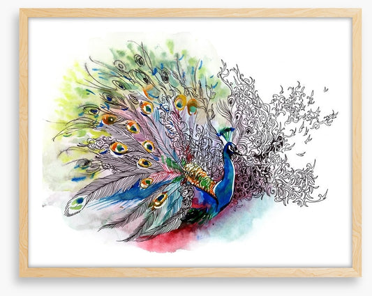 Peacock watercolour
