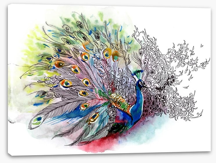 Peacock watercolour