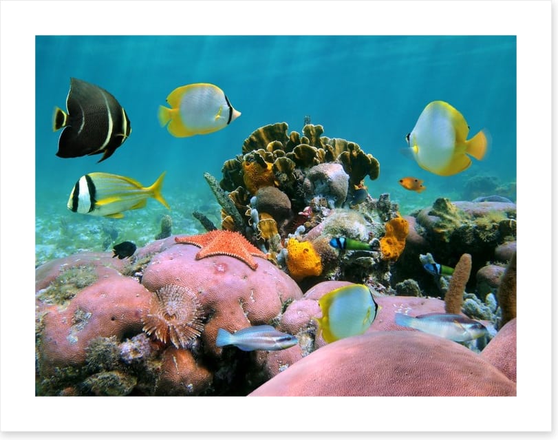 Underwater
