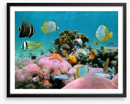 Underwater