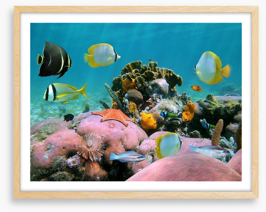 Underwater
