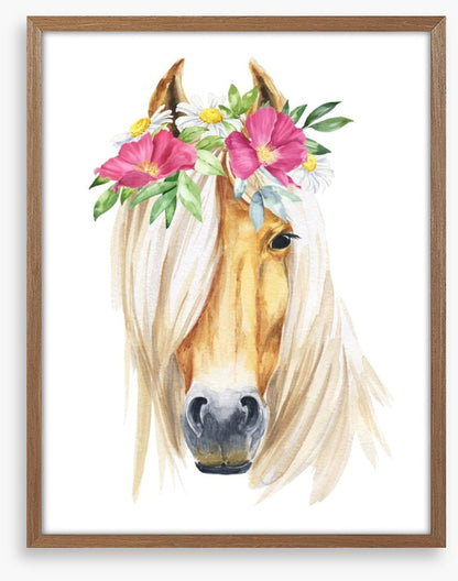 Show pony