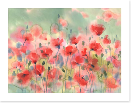 Poppies in the rain