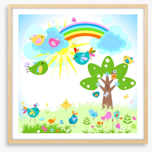 Rainbows
