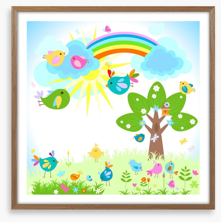 Rainbows