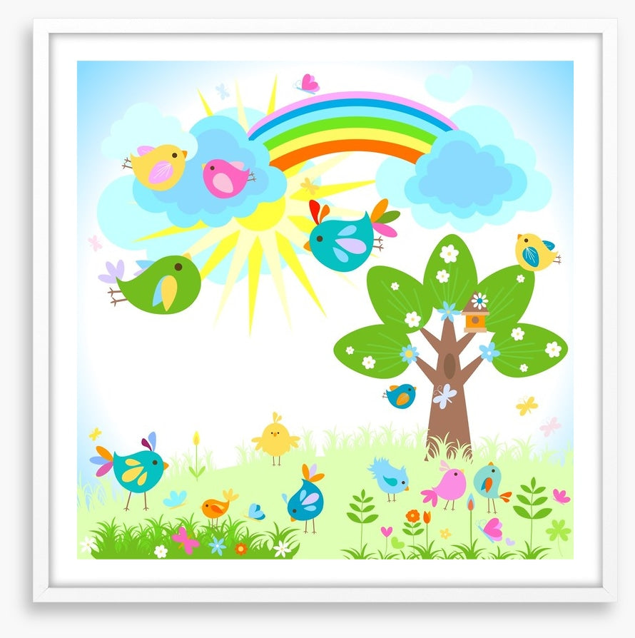 Rainbows