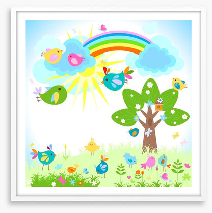 Rainbows