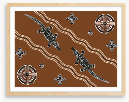 Platypus in the creek