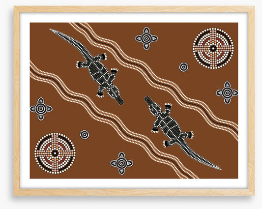 Platypus in the creek