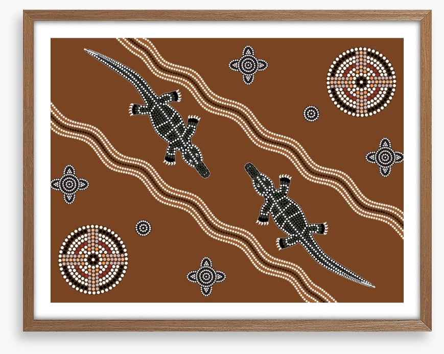 Platypus in the creek