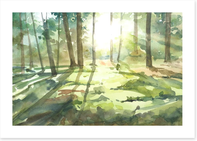 Forest of light I
