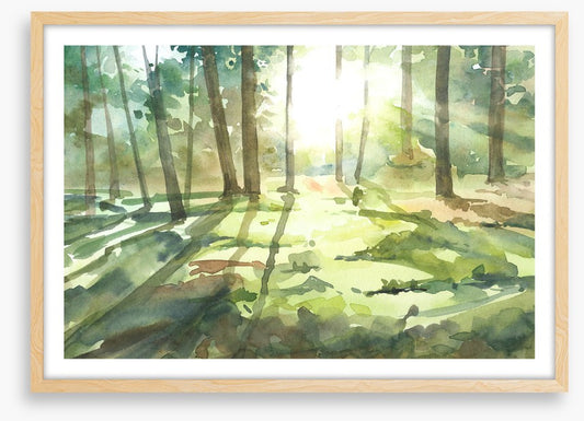 Forest of light I