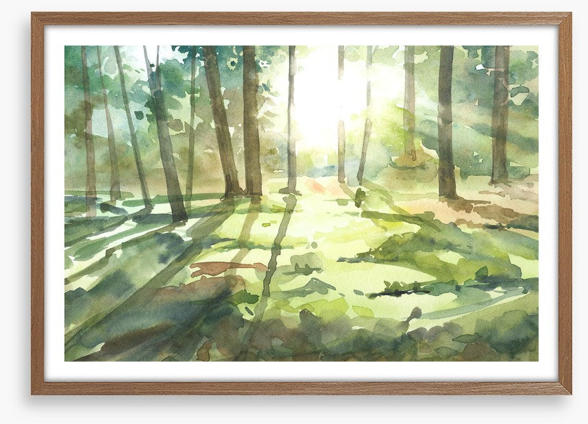 Forest of light I