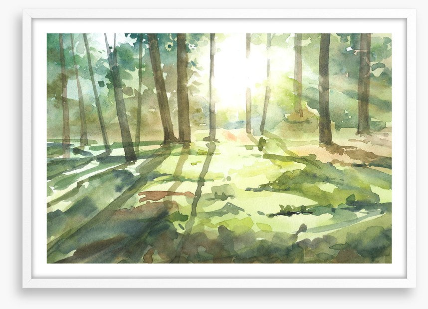Forest of light I
