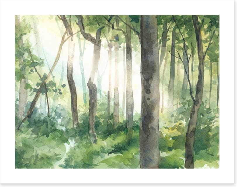 Forest of light II