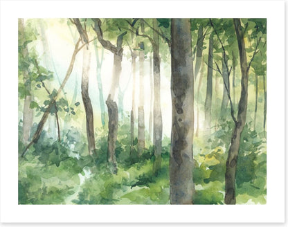 Forest of light II