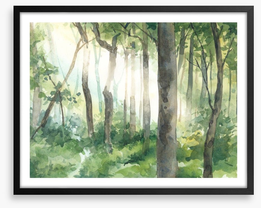 Forest of light II