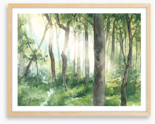 Forest of light II