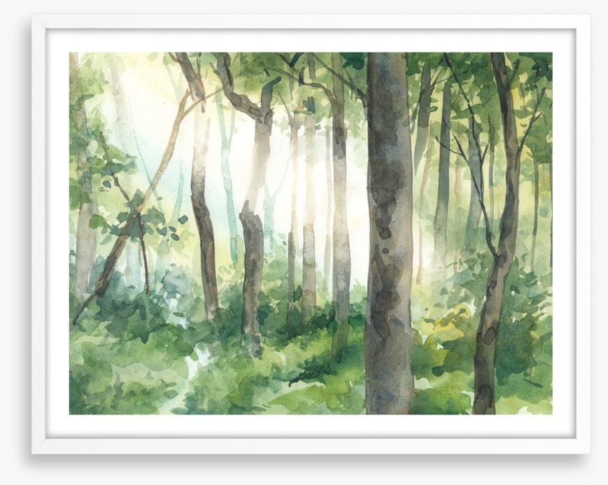 Forest of light II