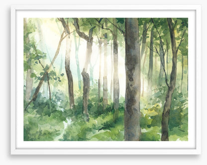 Forest of light II