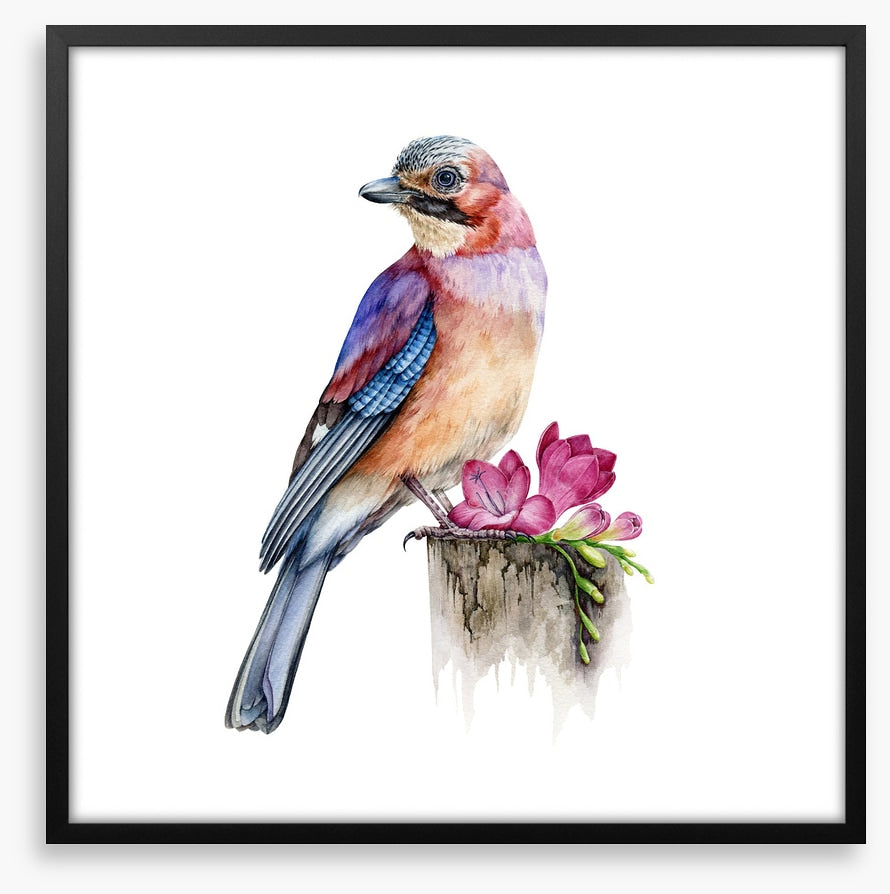 The jay bird perch