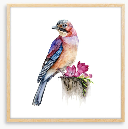 The jay bird perch