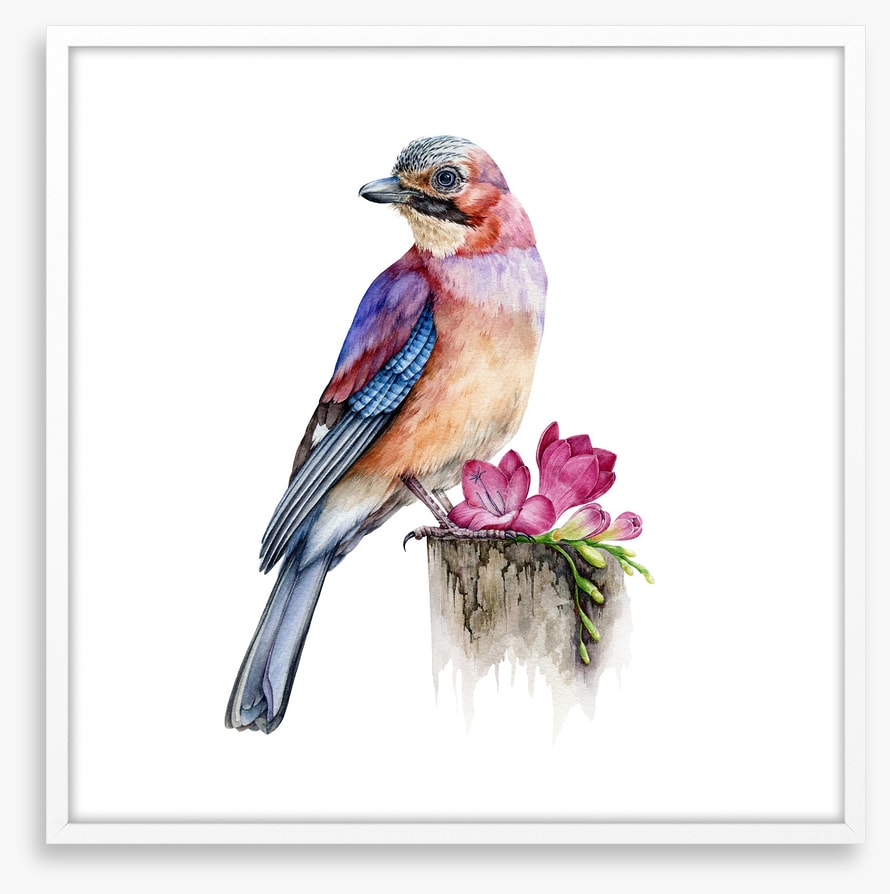The jay bird perch