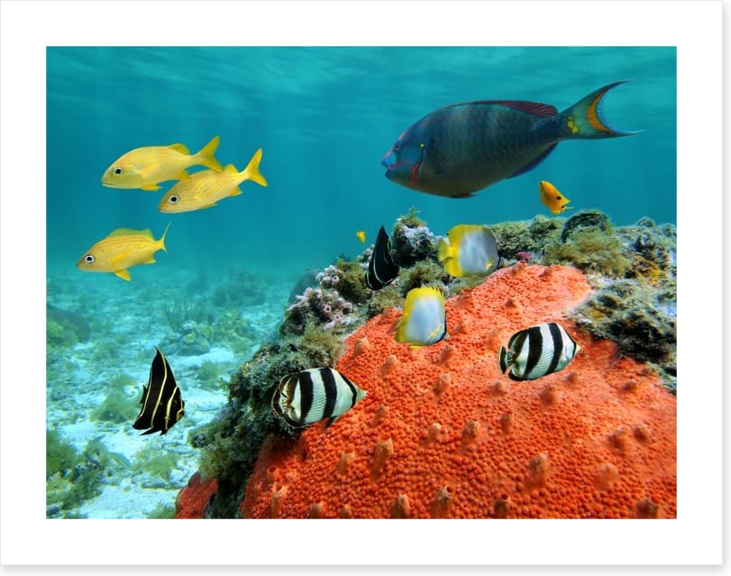 Underwater