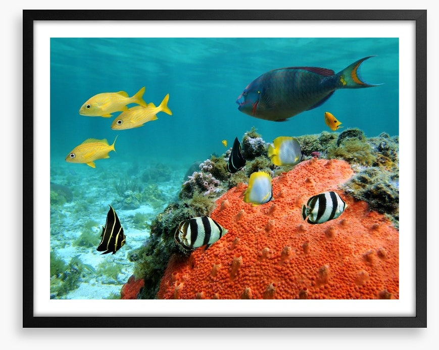 Underwater