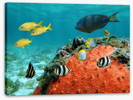 Underwater