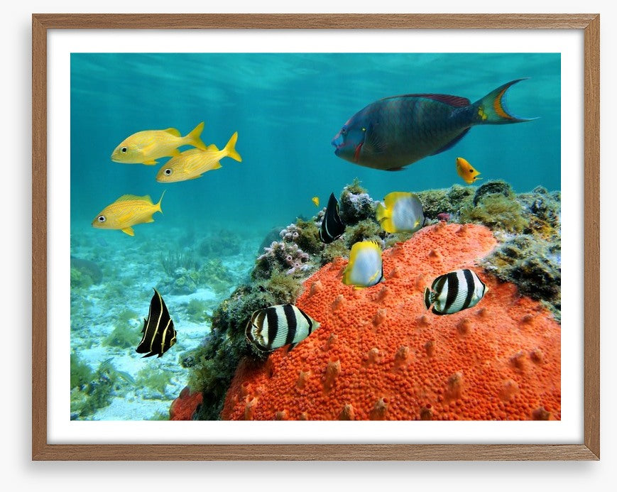 Underwater