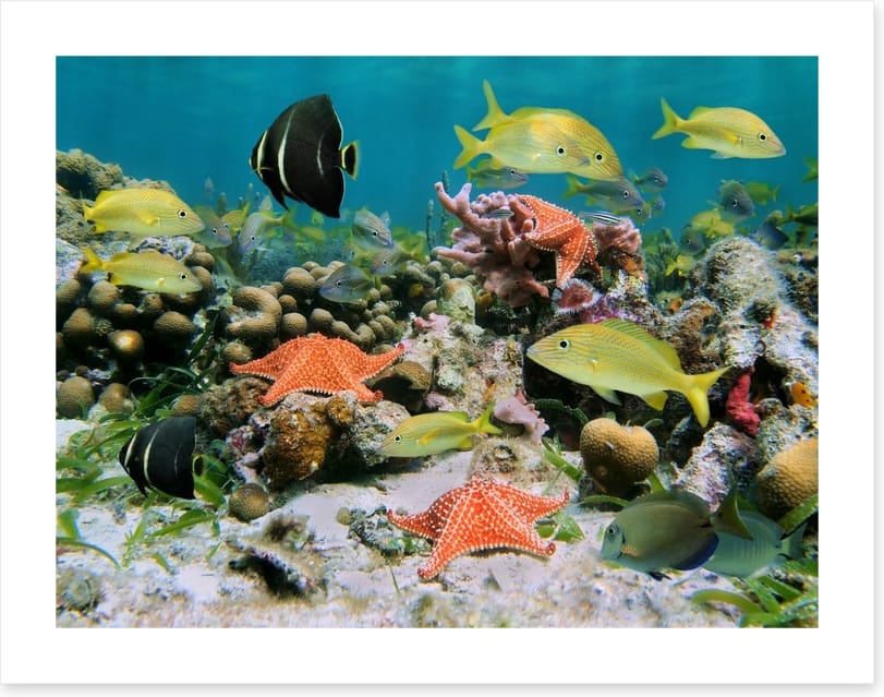 Underwater