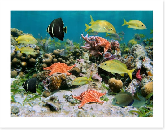 Underwater