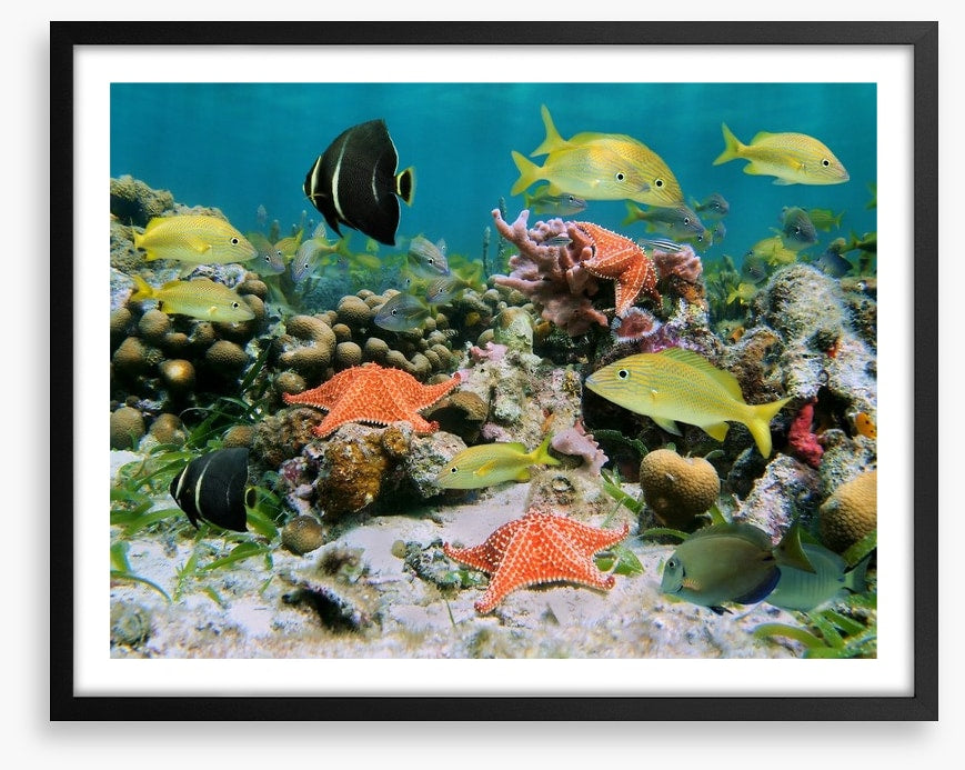 Underwater
