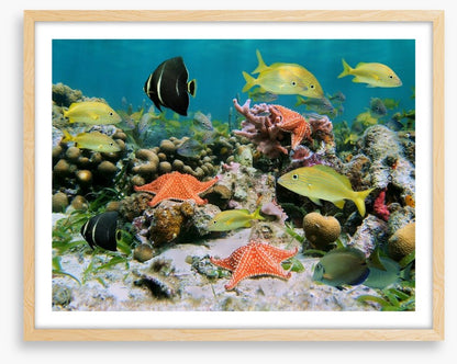Underwater