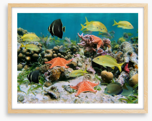 Underwater