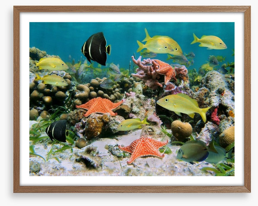 Underwater