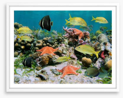 Underwater