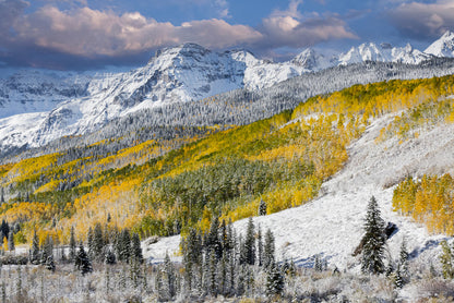 Mountains
