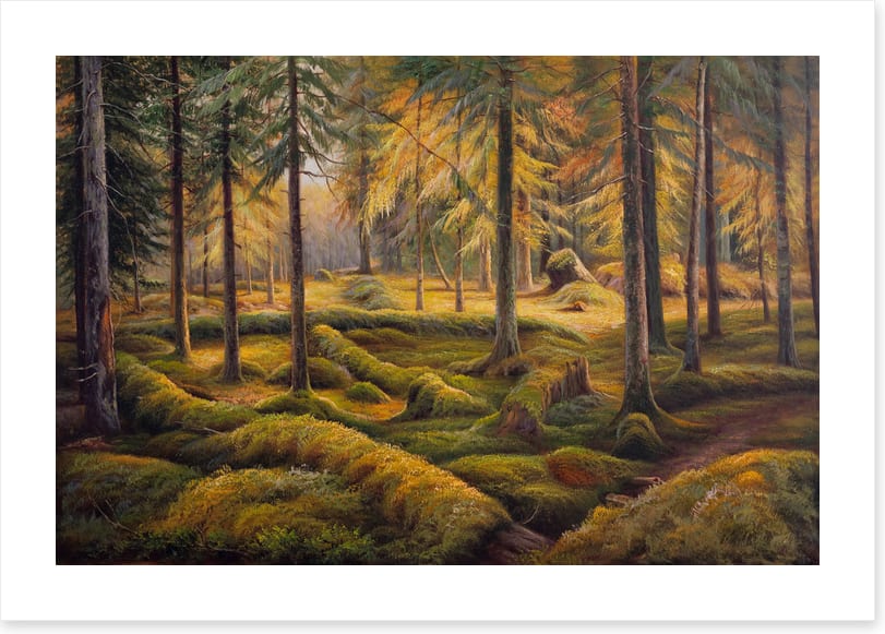 Way of the woods