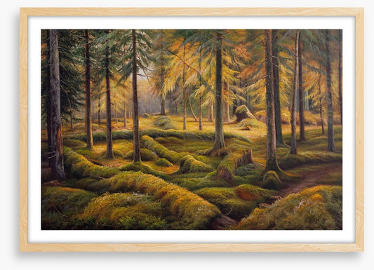 Way of the woods