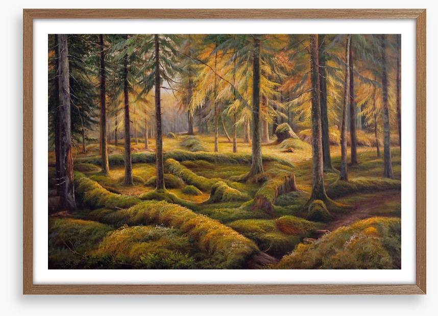 Way of the woods