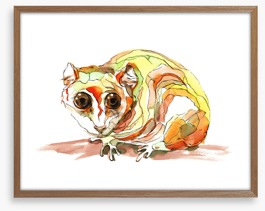 Pensive possum