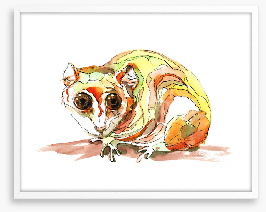Pensive possum