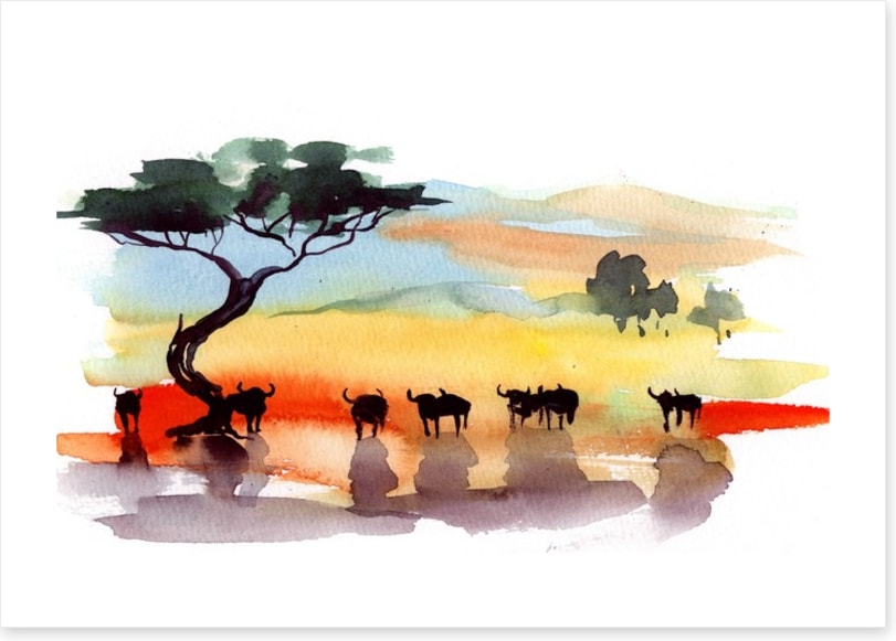 Cape buffalo sunset