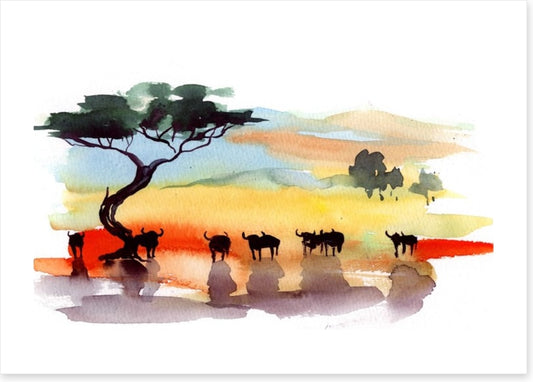 Cape buffalo sunset