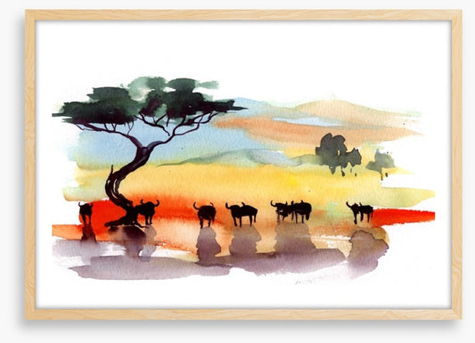 Cape buffalo sunset