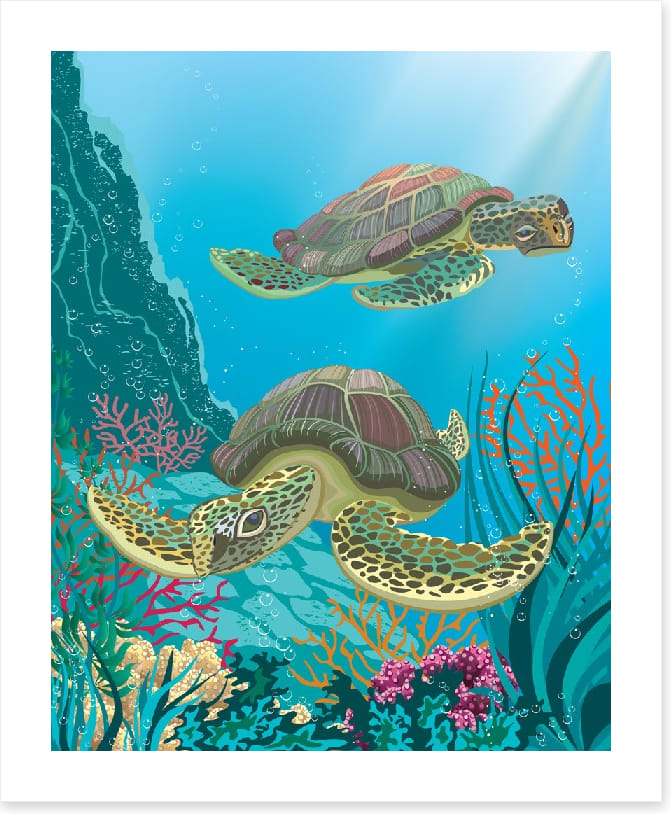 Turtle two