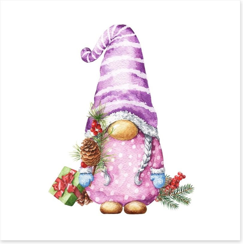 Gnome for christmas II