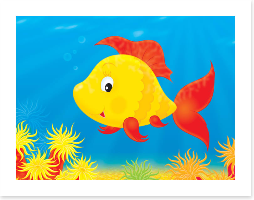 Under The Sea